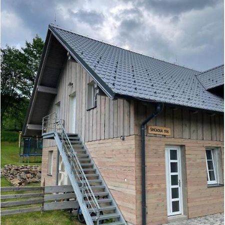 Ubytovani Spicacka Ap2 Železná Ruda Kültér fotó
